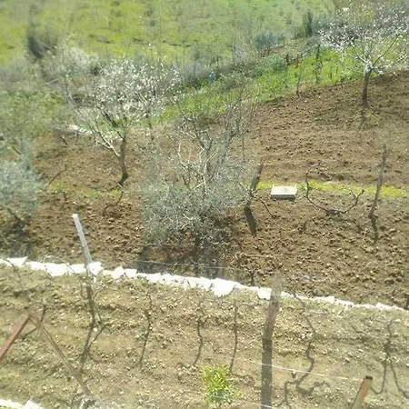 In Polican (Berat)