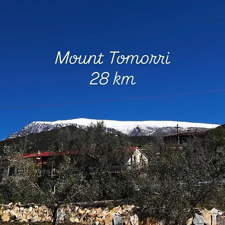 In Polican (Berat)